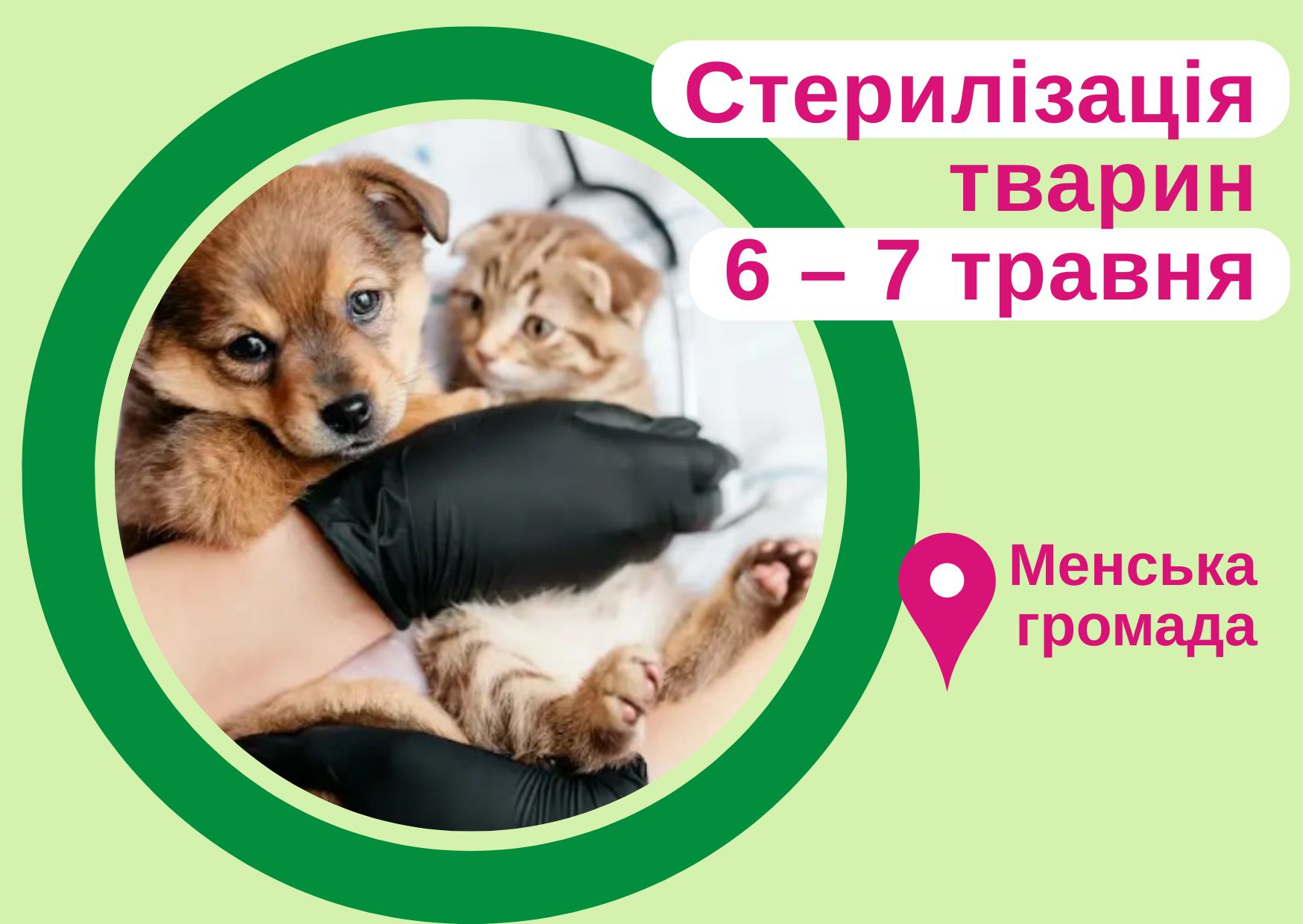 Фотографія